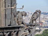 Gargouilles de la cathédrale Notre-Dame de Paris