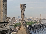 Ange de la cathédrale Notre-Dame de Paris