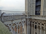 Gargouilles de la cathédrale Notre-Dame de Paris