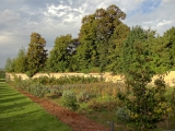 Château Champs-sur-Marne jardin potager