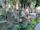 Cracovie nouveau cimetière juif