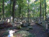 Cracovie nouveau cimetière juif