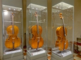 Florence galerie de l'académie musée de musique