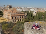 Alcazar Jerez de la Frontera