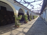 Jerez