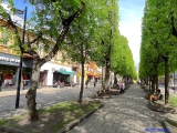 Kaunas avenue de la liberté