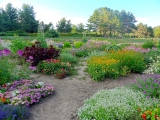 Kiev jardin botanique