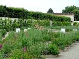 Kroměříž  jardin de fleurs