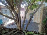 Lisbonne castelo sao jorge