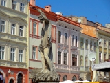 Lviv Rynok