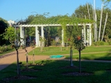 Lyon parc de la Tête d'Or roseraie