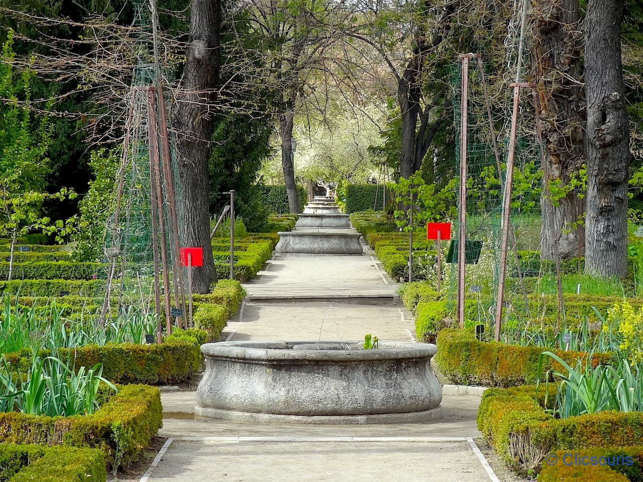 Madrid jardin botanique Archives La souris globetrotteuse