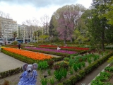 Madrid jardin botanique
