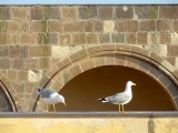 Naples château de l'oeuf