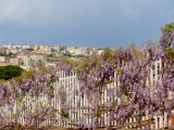 Naples Mergellina vue