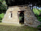 Palerme jardin botanique