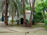 Palerme jardin botanique