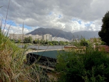 Palerme jardin botanique