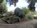 Palerme jardin botanique
