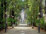 Palerme villa giulia