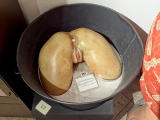 DSC04953