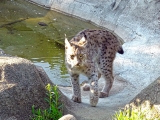 Parc zoologique de Paris