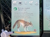 Parc zoologique de Paris