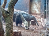 Parc zoologique de Paris