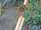 Parc zoologique de Paris