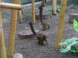 Parc zoologique de Paris