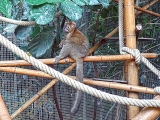 Parc zoologique de Paris