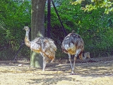 Parc zoologique de Paris