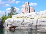 Parc zoologique de Paris