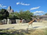 Parc zoologique de Paris