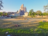 Parc zoologique de Paris