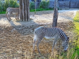 Parc zoologique de Paris