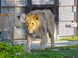 Parc zoologique de Paris