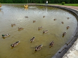 Peterhof jardin supérieur