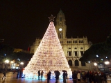 Hôtel de ville de Porto et arbre de noël