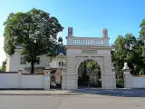 Prague cimetière juif vinohrady