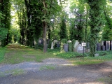 Prague cimetière juif vinohrady