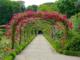 Roseraie l'Hay-les-roses