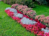 Saint-Pétersbourg jardin de Tauride