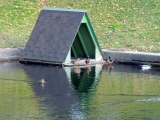 Saint-Pétersbourg jardin d'été