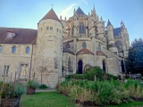 Senlis cathédrale