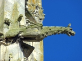 Senlis cathédrale