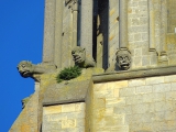 Senlis cathédrale