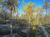 Jardin de l'Alcazar de Séville