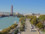 vue depuis la Torre del Oro Séville