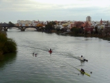 Triana